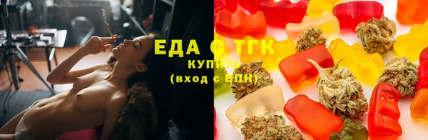 гидра Бородино