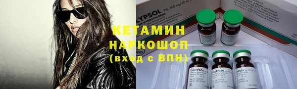 гидра Бородино