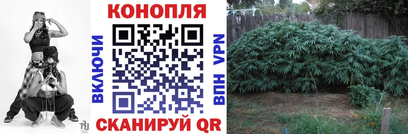 KRAKEN как войти  Яхрома  Марихуана LSD WEED  закладки 